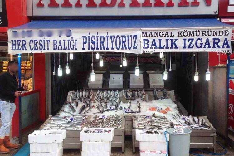 ayabakan balikcisi yenimahalle merkez ankara zomato